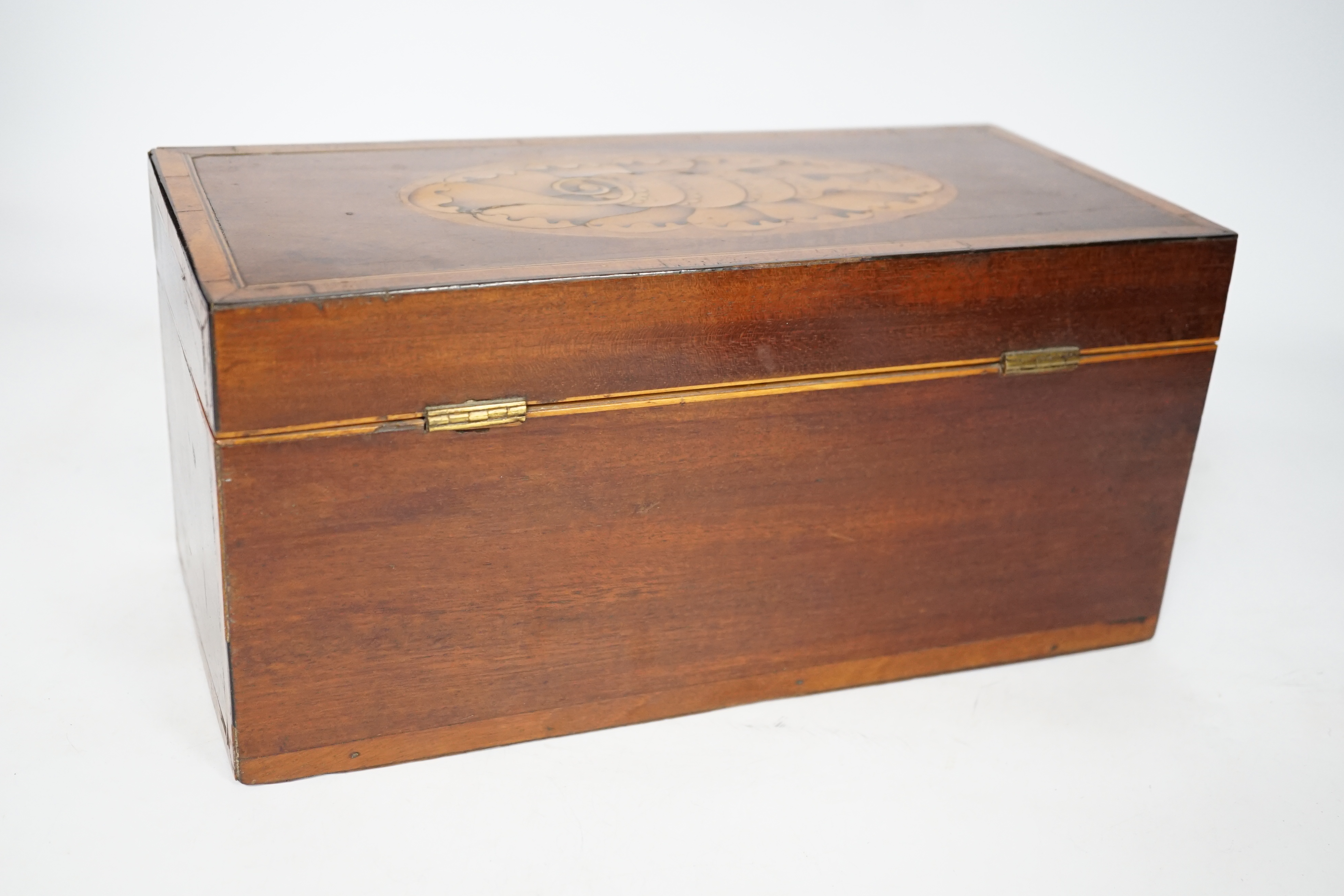 A late George III shell inlaid mahogany tea caddy, 30cm x14cm